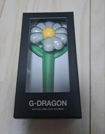 G-DORAGON MINI LIGHT KEYRING 키링 지용
