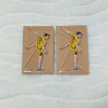 하이큐 우시지마 와카 아크릴 피규어