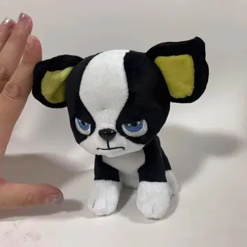 이기 봉제 인형 죠죠 iggy stuffed toy jojo