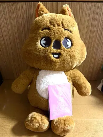 straykids HANQUOKKA 테디베어