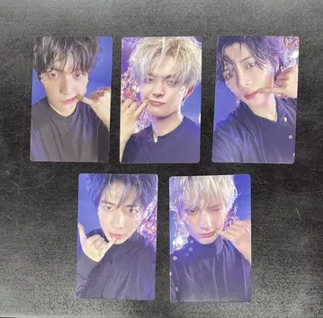 txt 트레이딩 카드 5장 세트