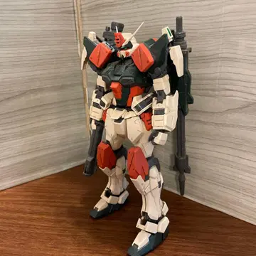 MG 버스터 정크 완성품