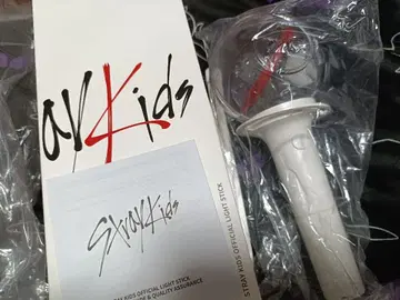 Stray Kids 공식 응원봉