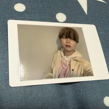 아즈 팬더드래곤 하피카