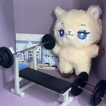 노아  plave의 숲