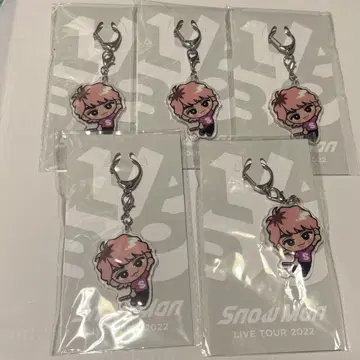 사쿠마 다이스케 SnowMan 스노치루 아크릴 키링 5개 세트