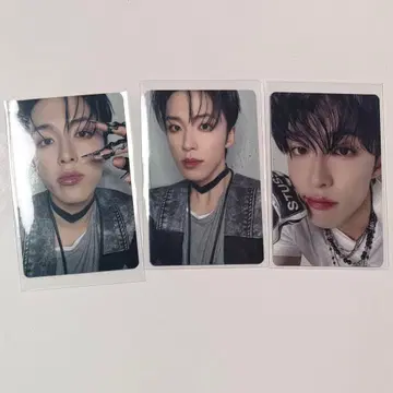 코노 셀카 컴프 묶음 판매