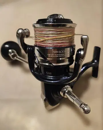 SHIMANO 트윈 파워 SW 6000 hg