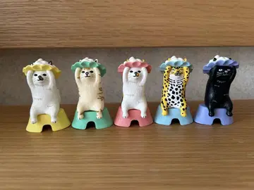 포케파스 pokefasu 샴푸 캣 전 5종