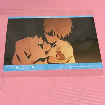 빛이 죽은 여름 D상 다나카 햄스터 엽서 온리샵 특전