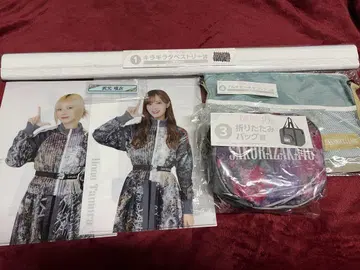 사쿠라자카46 태피스트리 접이식 백 사코슈 클리어 파일 세트