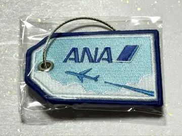 ANA 노토 공항 노토 사토야마 공항 한정 플라이트 택 비행기