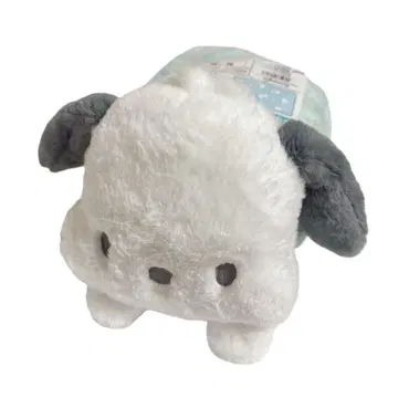 [택 포함 새상품] 포차코 쿠션 담요 산리오 sanrio