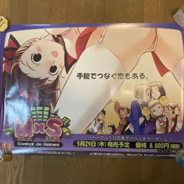 MxS Combat de Reines 판촉용 B2 포스터 아보가도 워즈