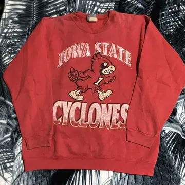 90s 미국제 빈티지 맨투맨 IOWA STATE CYCLONES