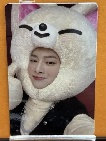 StrayKids MAXIDENT JYP 혜택 트레이딩 카드 아이엔