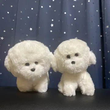 외로움을 타는 비숑 프리제 꼬리 붕붕 [ 2종 컴프 세트 ]