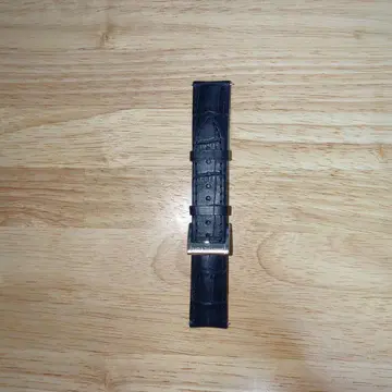 미사용 해밀턴 정품 벨트 재즈 마스터 BLUE STRAP 20mm