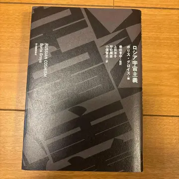 러시아 우주주의 보리스 그로이스 저