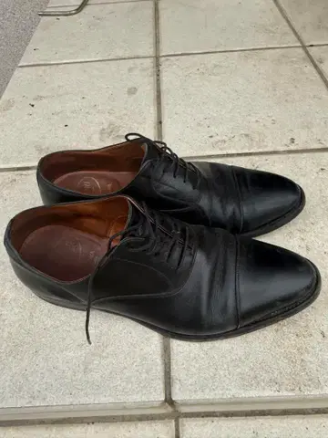 스코치 그레인 비즈니스 슈즈