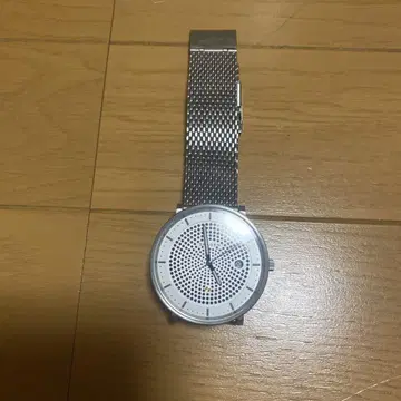 스카겐 손목시계
