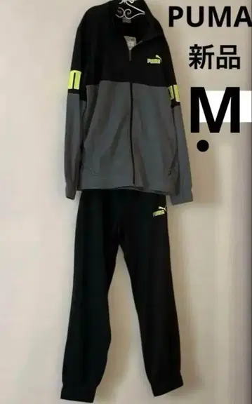PUMA 저지 상하의