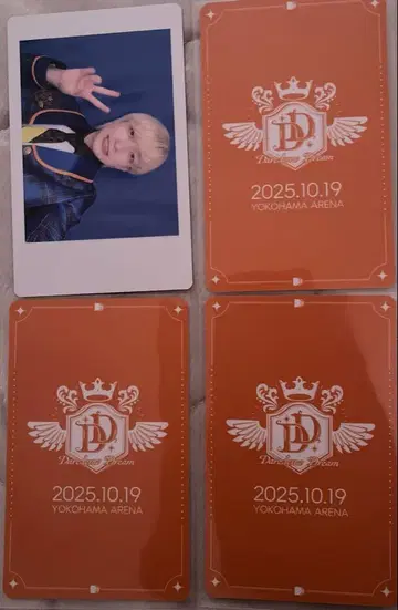 팬더드래곤 파라곤 요타 하피카 DDP