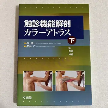 촉진 기능 해부 컬러 아틀라스 하 근육 혈관 신경