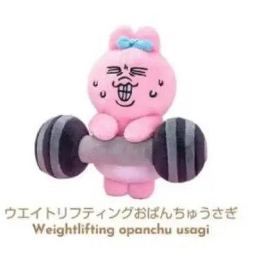 TOPTOY 빤쮸토끼 웨이트 리프팅 봉제 인형