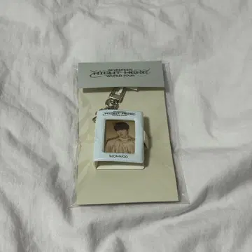 SEVENTEEN 세븐틴 원우 미니 콜렉트북 키링
