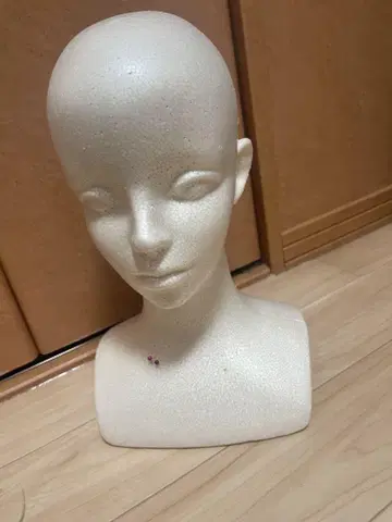마네킹 헤드 토르소 발포 스티로폼 다이소