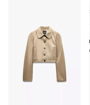 ZARA 셔츠풍 숏 트렌치코트