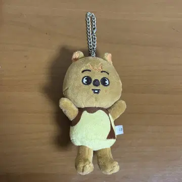 straykids 스키즈 백참 한쿼카 푸딩 한