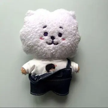 BT21 BTS 타톤 핸드메이드 코스튬