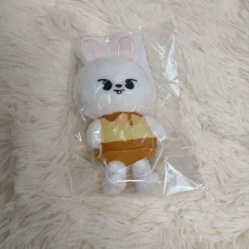 Stray Kids 리노 Leebit MANIAC 백참 푸딩