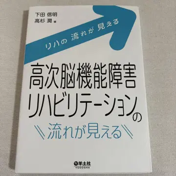 고차 뇌 기능 장애 재활 치료의 흐름을 파악할 수 있다