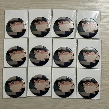 기븐 기븐전 캐릭터 배지 컬렉션 카미노야 리카 12개