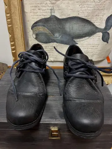 Botta-s 블랙 가죽 레이스업 슈즈 size 6