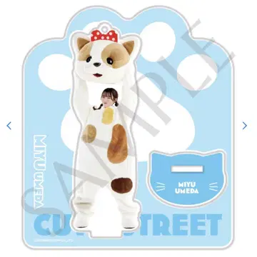 cutie street 아크릴 스탠드 우메다 미유 세트