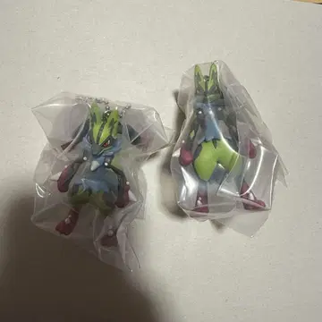메가 루카리오 2점