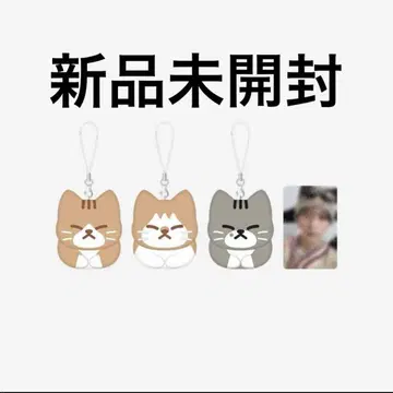 straykids popup 리노 멘프로 키링 스키즈 고양이