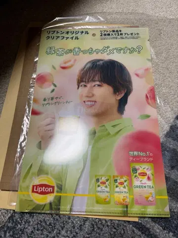 립톤 아베 료헤이 클리어 파일 1장