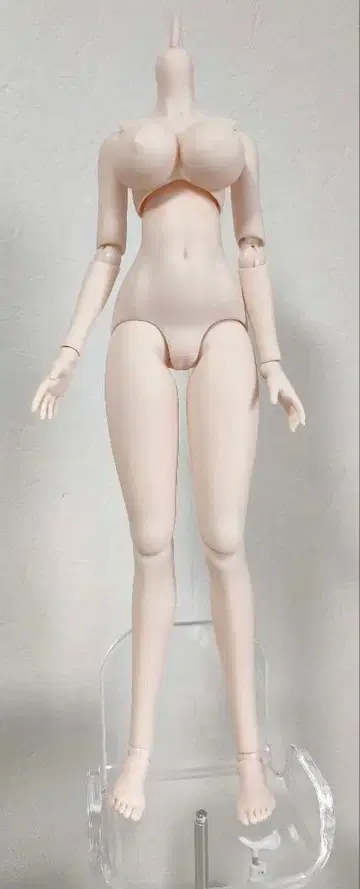 돌피드림 다이나마이트 DDdy 베이스 바디 III 세미 화이트