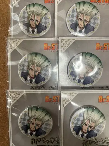 Dr.stone 훼미리마트 캔뱃지 이시가미 센쿠 6세트