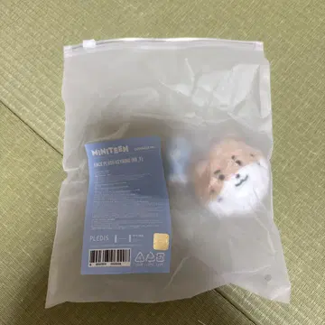 MINITEEN SEVENTEEN 키링 디노