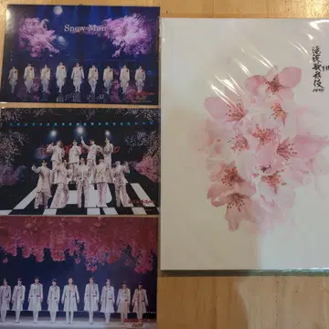 Snow Man 타키자와 가부키 팜플렛 & 사진 3장 세트