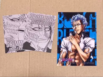 BLEACH 그리 카드 브로마이드