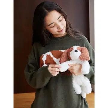 젤라피케 캐바리아