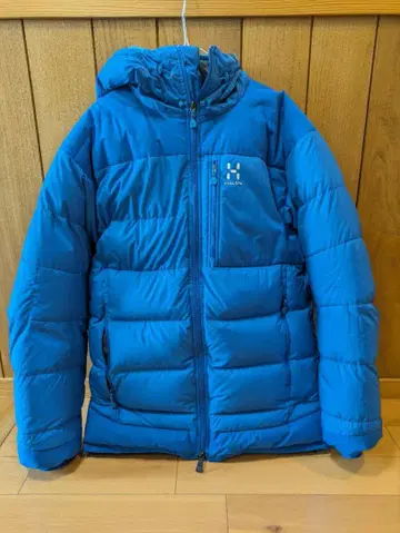 HAGLOFS 다운 후디