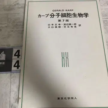 카프 분자세포생물학 커버만 상처